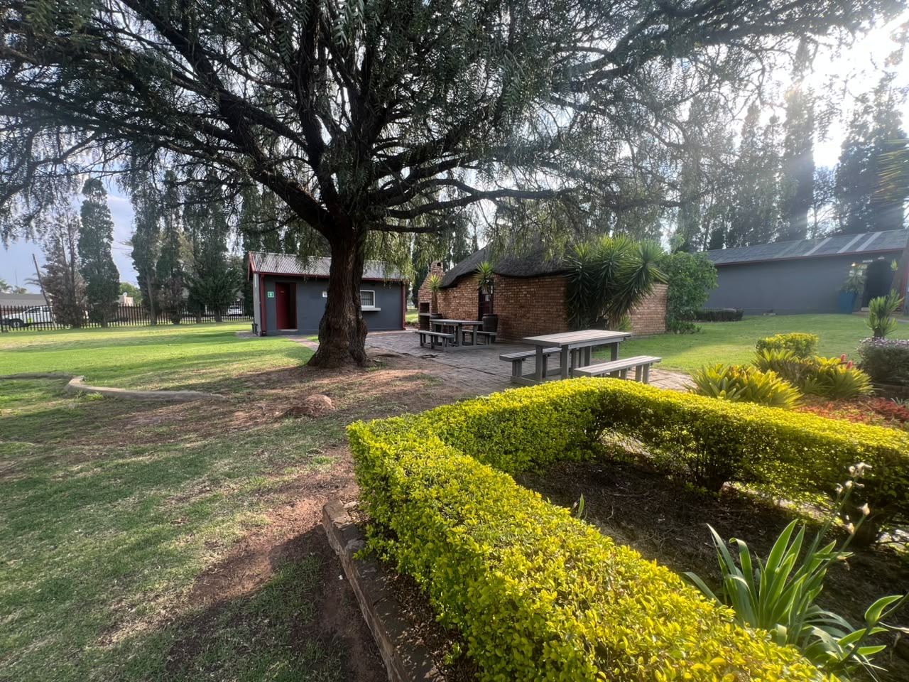 Outdoor seating beneath a large tree at NGI Witbank